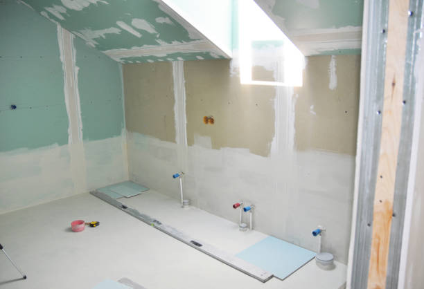 Best Attic Mold Removal  in Questa, NM