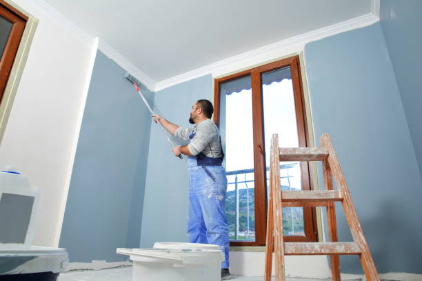 Mold Odor Removal Services in Questa, NM