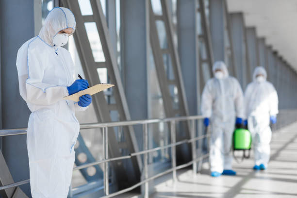 Best Commercial Mold Inspection  in Questa, NM