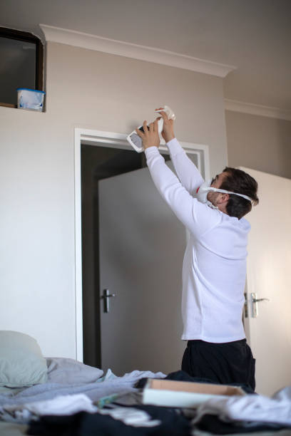 Best Water Damage & Mold Remediation  in Questa, NM
