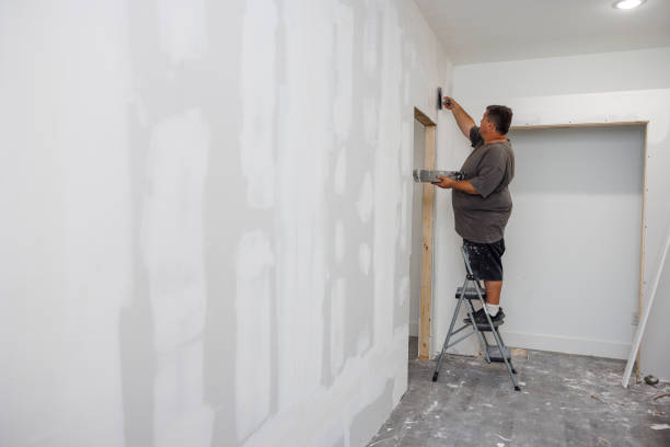 Best Emergency Mold Remediation  in Questa, NM