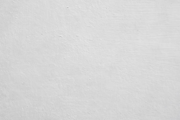 Trusted Questa, NM Mold Removal Experts